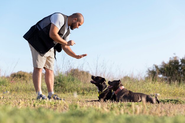 A Tail-Wagging Transformation: Effective Dog Training Secrets