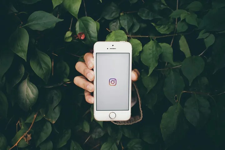 How User Insights Drive Better Instagram Like Numbers